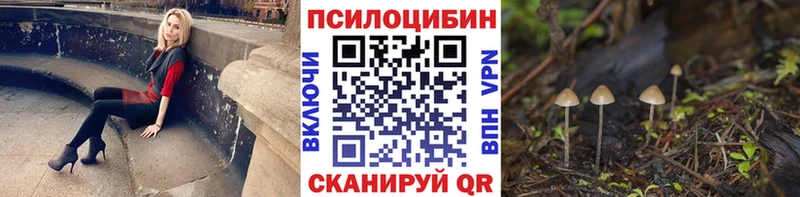 Псилоцибиновые грибы Cubensis  Арсеньев 