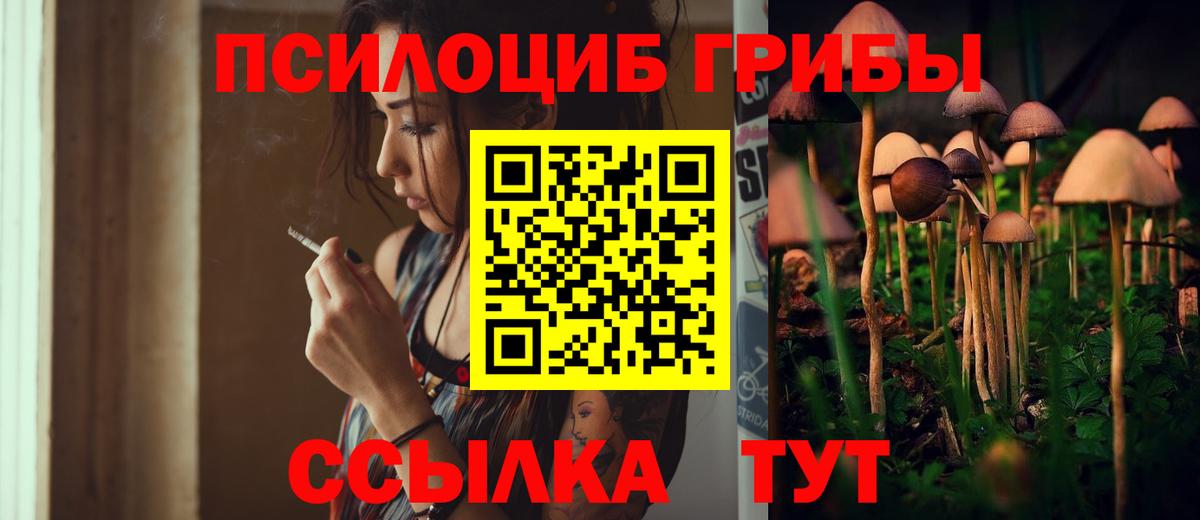 Галлюциногенные грибы Psilocybe  Вход с VPN  Арсеньев 